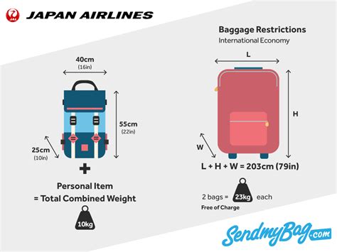 can you travel with a fake bag in japan|bringing baggage to japan.